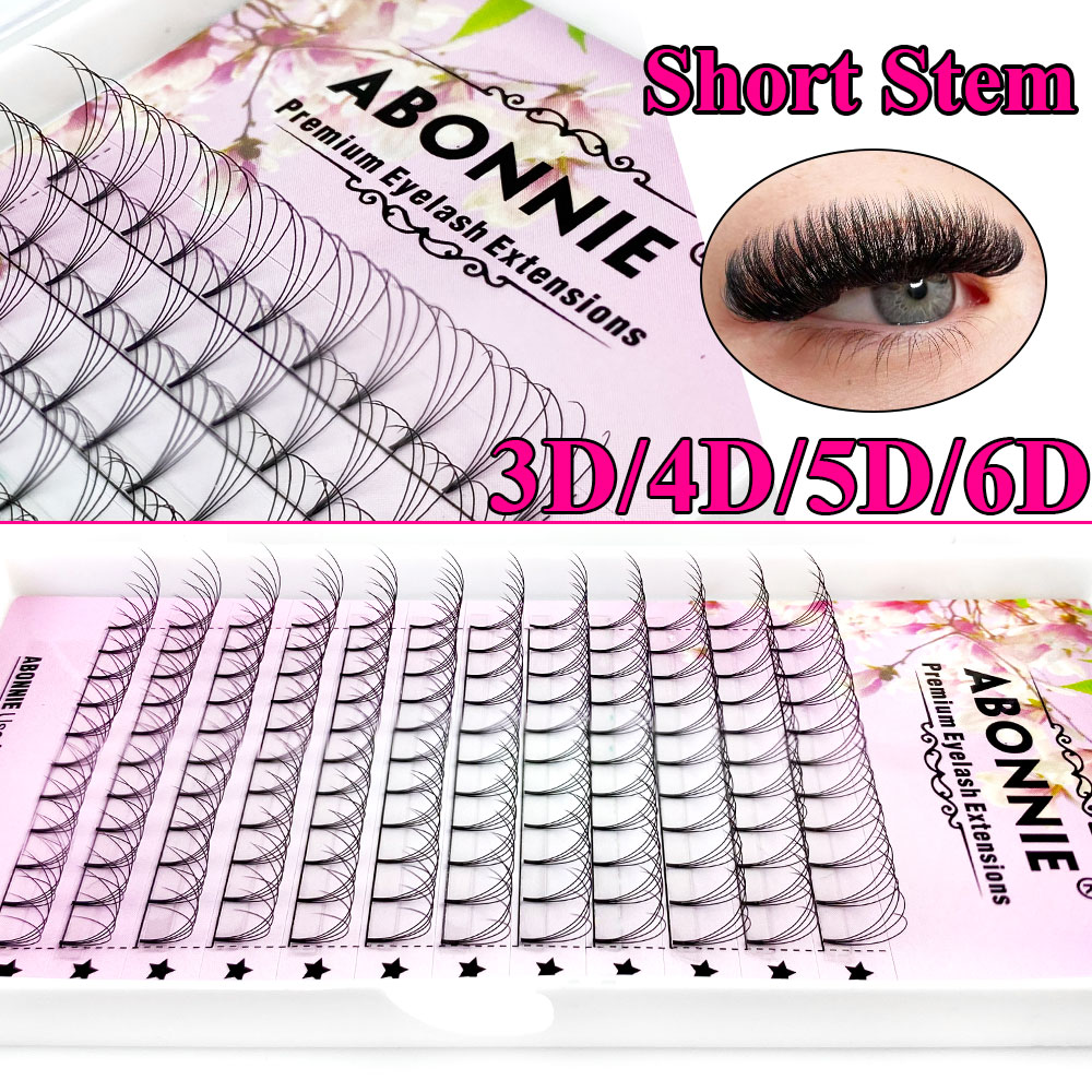 Abonnie 6D Узкие пучки-вентиля – обзор и цена Eyelash Extension Course